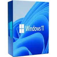 Windows 11 upgrade issues